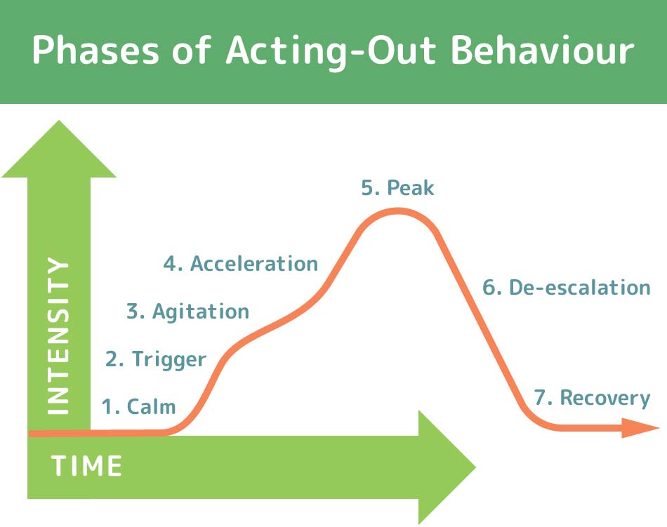 phases of acting-out behavior