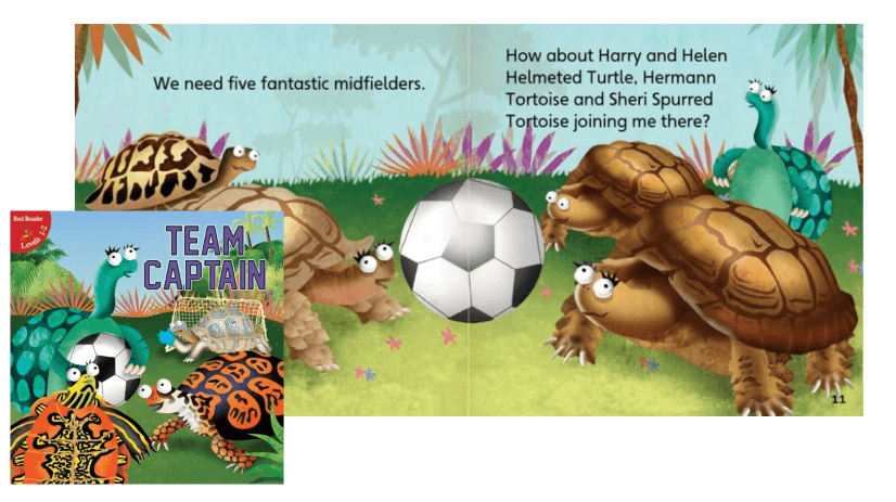 Books about soccer -Team Captain